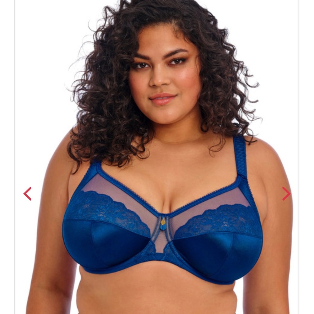 Blue Lace Underwire Bra